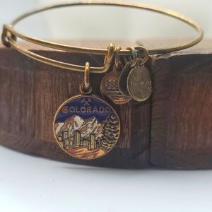 B2111 Alex and ani‎ energy bracelet Colorado charm jewelry